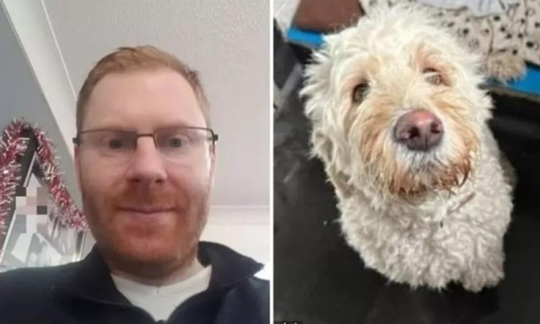 Polícia busca por cão furtado e encontra corpo de tutor em residência