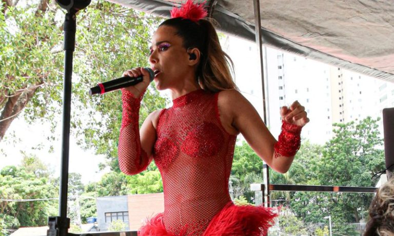Wanessa Camargo é chamada de ‘capinadora do pop’ e diz que fama é justa