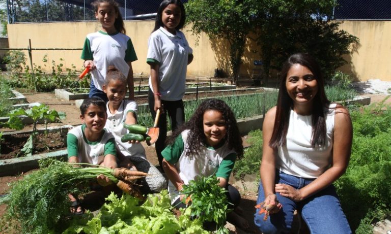 Alunos disputam prêmio com horta sustentável