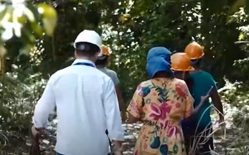 Coletores indígenas ajudam no reflorestamento e garantem renda extra no ES