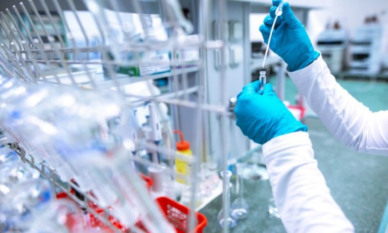 Em feito inédito, cientistas crescem rim humano em embrião de porco por 28 dias
