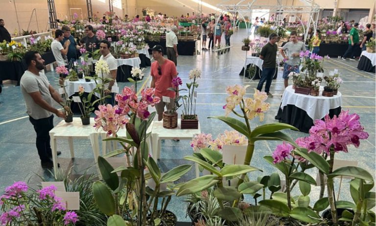 Feira com mais de 5 mil orquídeas nas montanhas