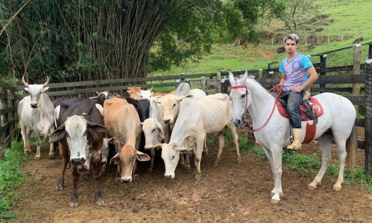 “Herdeiros do campo”: jovens trocam as cidades grandes pela vida nas fazendas