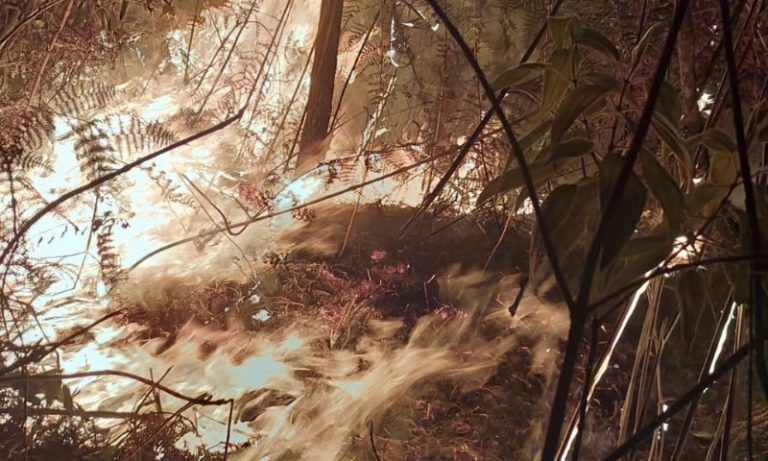 Incêndio em área particular atinge Parque do Caparaó