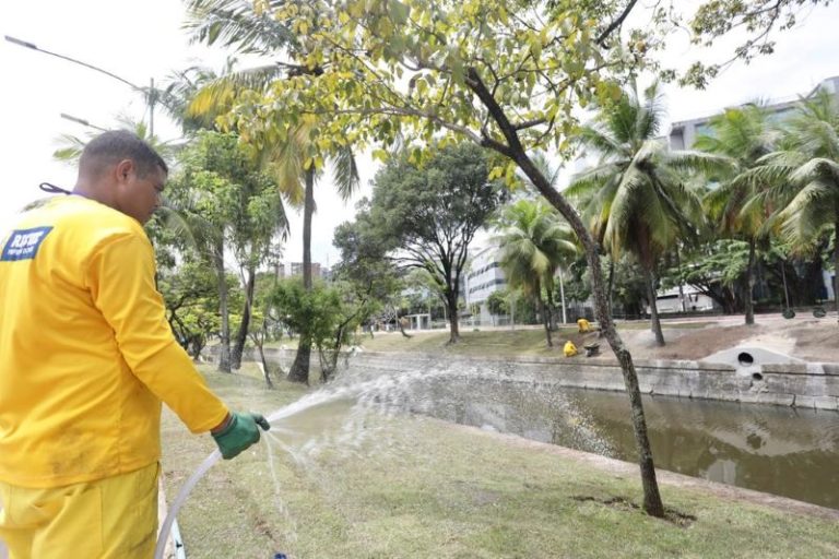 Novo projeto de paisagismo é implantado na Agamenon Magalhães