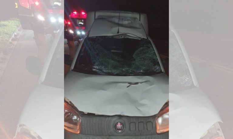 Pedestre morre atropelado por carro na BR-101 no ES