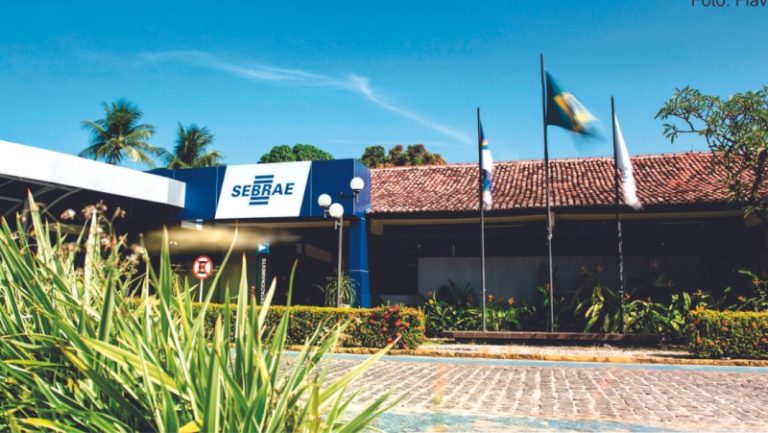 Sebrae-PE oferece 24 vagas de emprego com salários de até R$ 19,6 mil