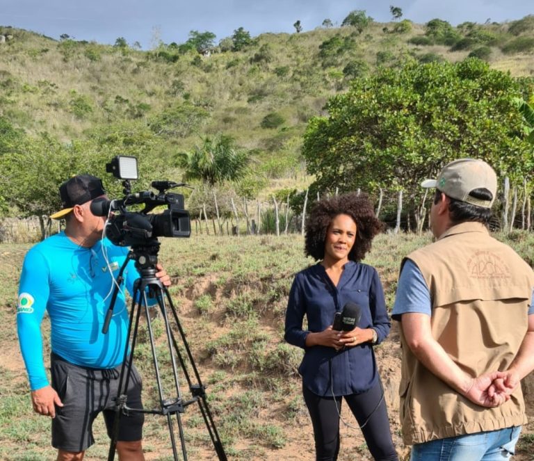 Veja destaques do programa Notícias do Campo deste domingo, pela TV Tribuna/Band