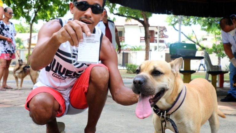 Veja onde vacinar gratuitamente seu cão ou gato neste domingo no Recife