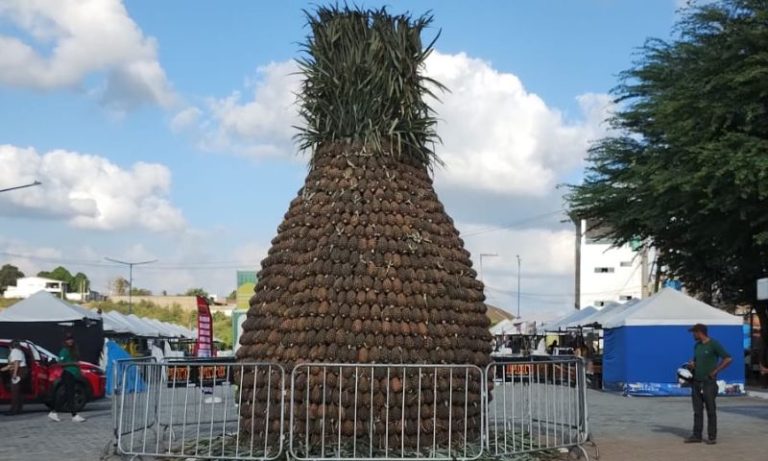 37ª Festa do Abacaxi, em Pombos, está nos últimos dias