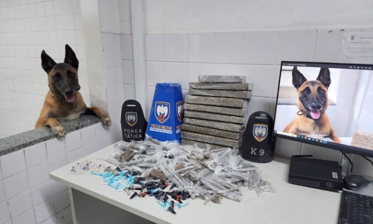 Cão da PM ajuda a encontrar grande quantidade de drogas em Taquara I