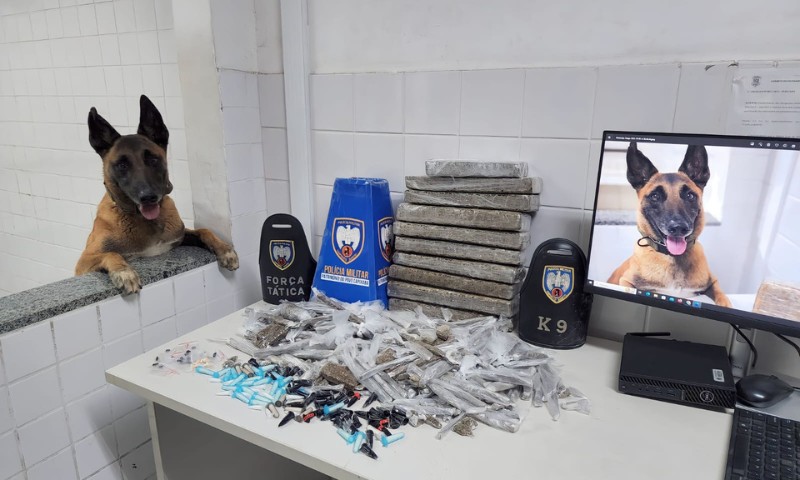 Cão da PM ajuda a encontrar grande quantidade de drogas em Taquara I