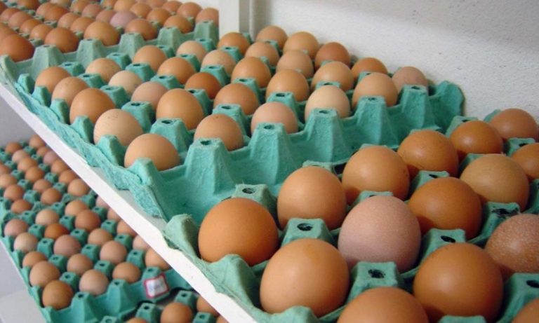 Especialistas dizem por que o ovo está mais barato