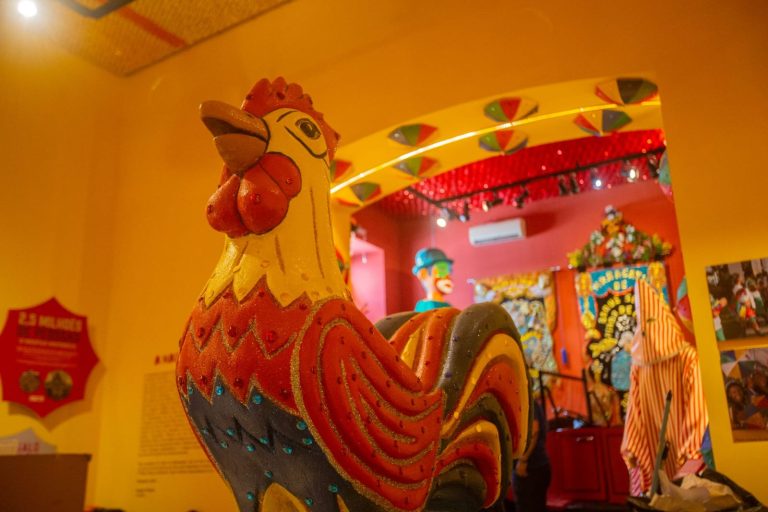 Galo da Madrugada ganha exposição no Paço do Frevo