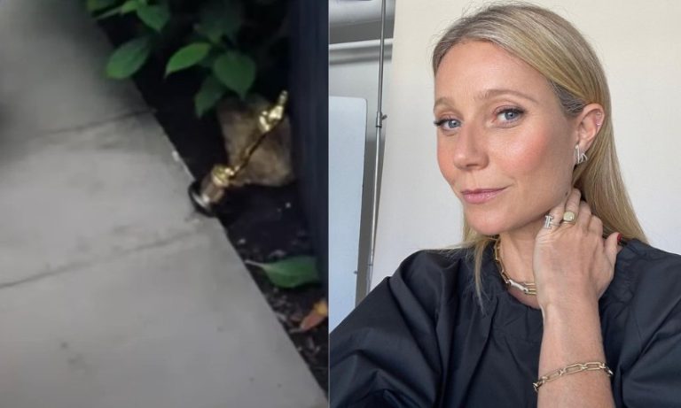 Gwyneth Paltrow diz que usa o Oscar como peso de porta