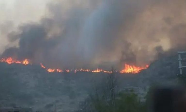Homem tenta fazer café em fogueira e causa incêndio florestal na Argentina
