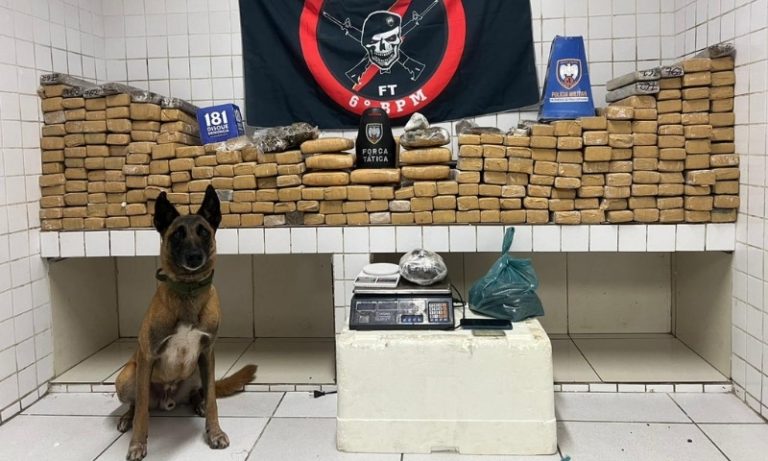 Mais de 200 quilos de maconha são apreendidos na Serra após denúncia anônima