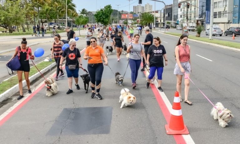 Nova edição da ‘cãocaminhada’ acontece neste domingo, na Praia de Camburi