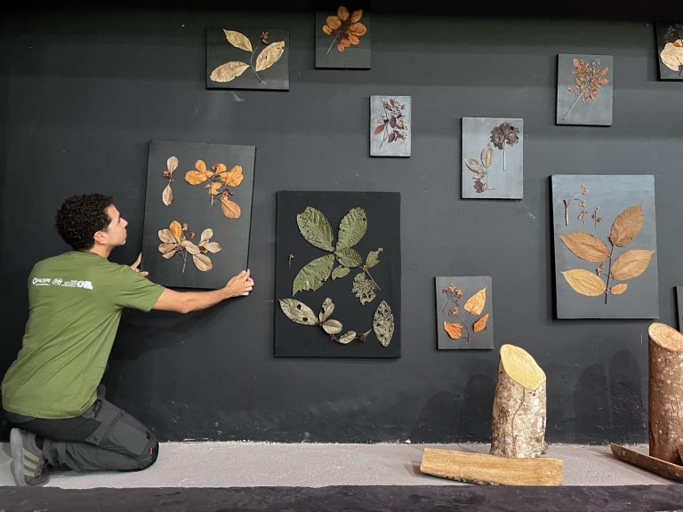 Parque Dois Irmãos promove exposição ‘Os sentidos da Natureza’