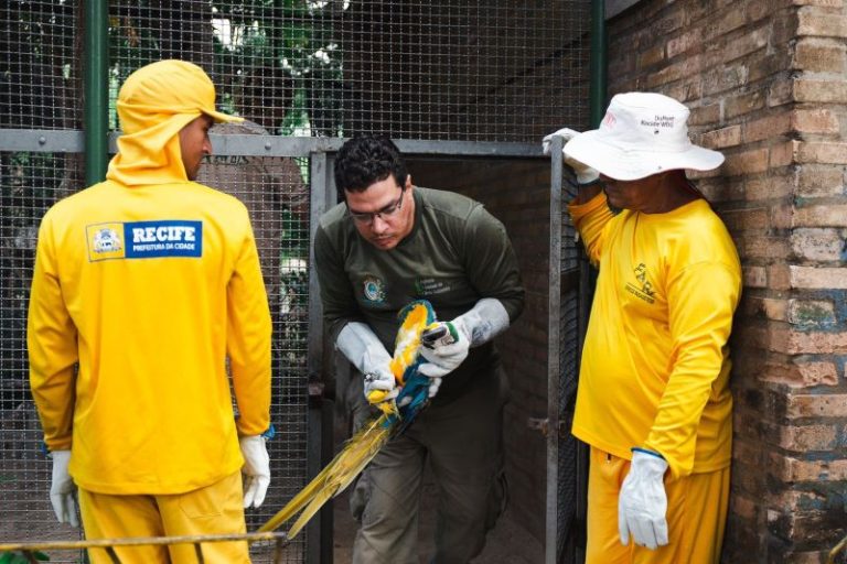 Prefeitura começa a retirar animais do zoológico do Parque 13 de Maio