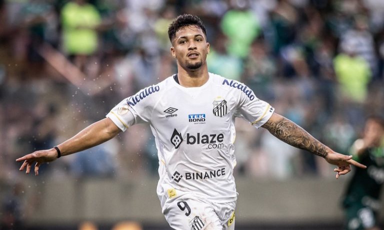 Santos vira sobre o Palmeiras, respira na tabela e pressiona o rival