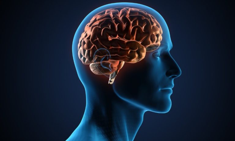 Voluntários no Estado testam remédio contra Alzheimer e Parkinson