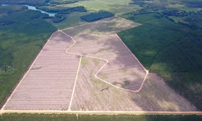 Zona Franca já atrai seis empresas em Aracruz