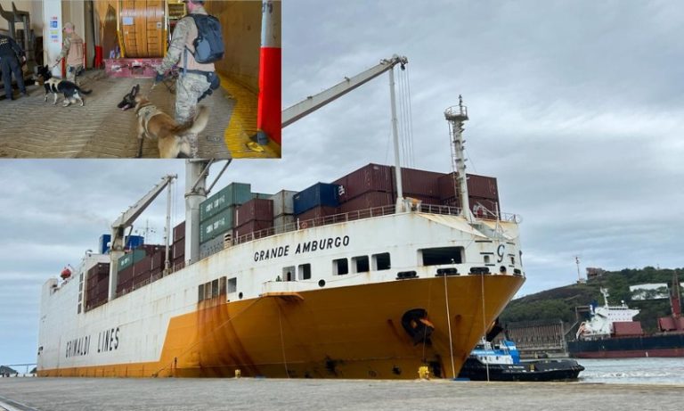 14 cães ajudam a polícia a encontrar cocaína em navio