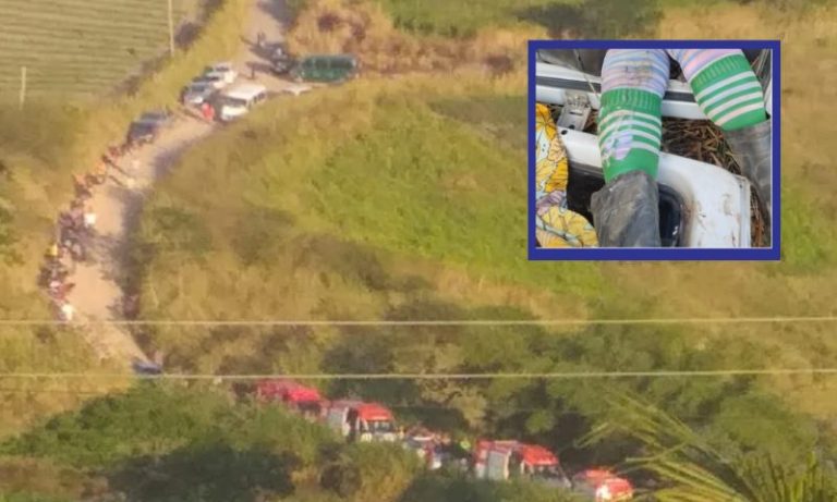 Agricultores mortos em capotamento de van retornavam de uma plantação de tomates