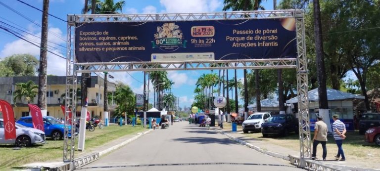 Confira os destaques do Notícias do Campo deste domingo