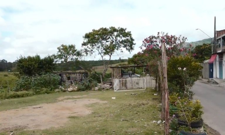 Criança é internada após levar coice de égua na Serra