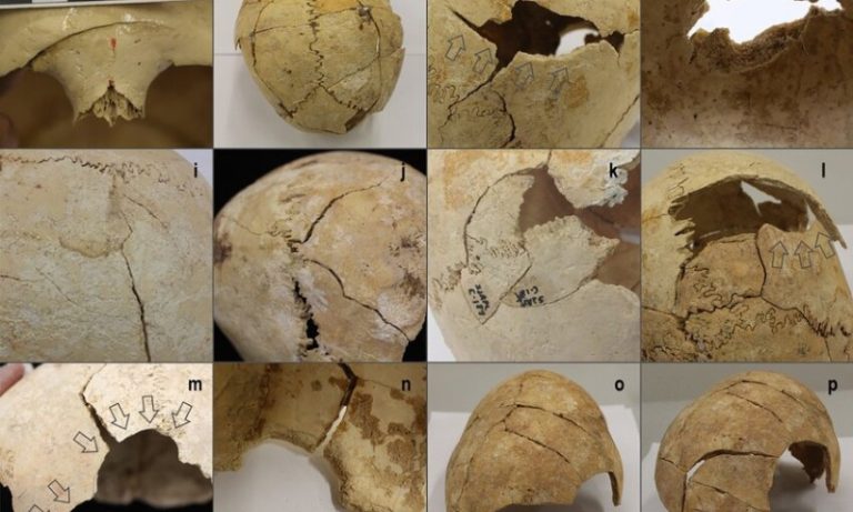 Descoberta em caverna arqueológica na Espanha revela guerra de 5.000 anos atrás