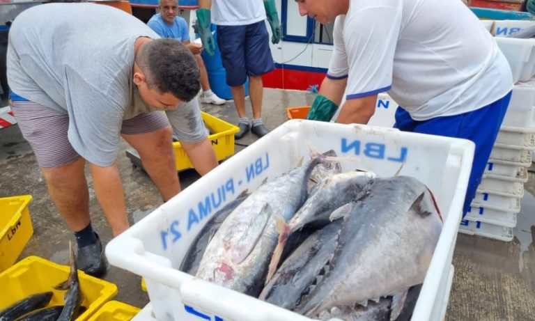 ES tem a maior processadora de atum da América Latina
