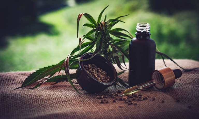 Encontro sobre Cannabis Medicinal quer desmistificar o uso curativo da planta