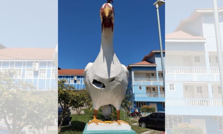 Estátua da Galinha, símbolo de cidade do ES, é alvo de vandalismo