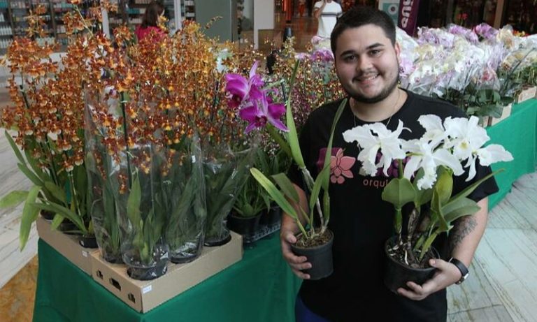 Exposição de orquídeas em shopping de Vila Velha