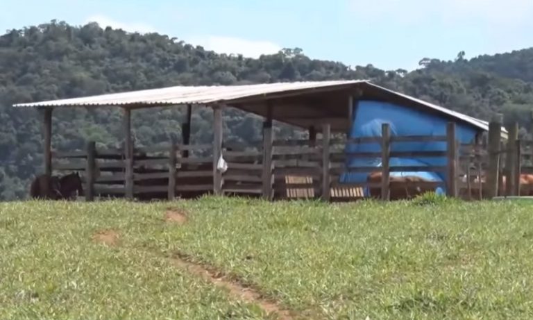 Homem tem 90% do corpo queimado após confusão com traficantes na Serra