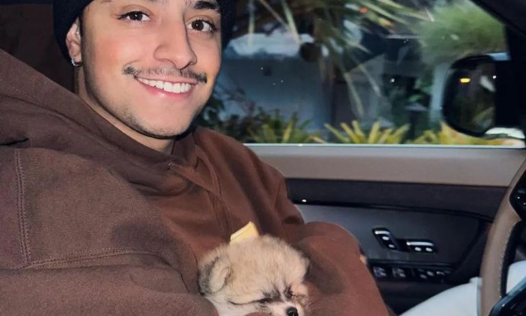 Influenciador descobre que cachorro foi atropelado durante transmissão ao vivo