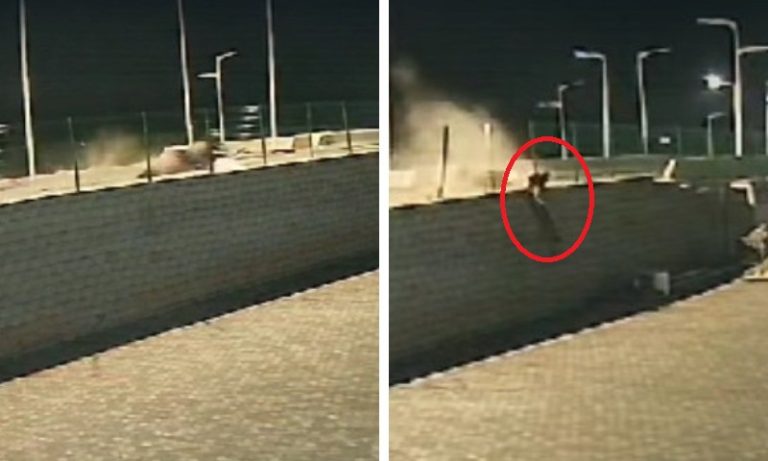 Motociclista fica ferido após sofrer acidente e cair do viaduto de Carapina