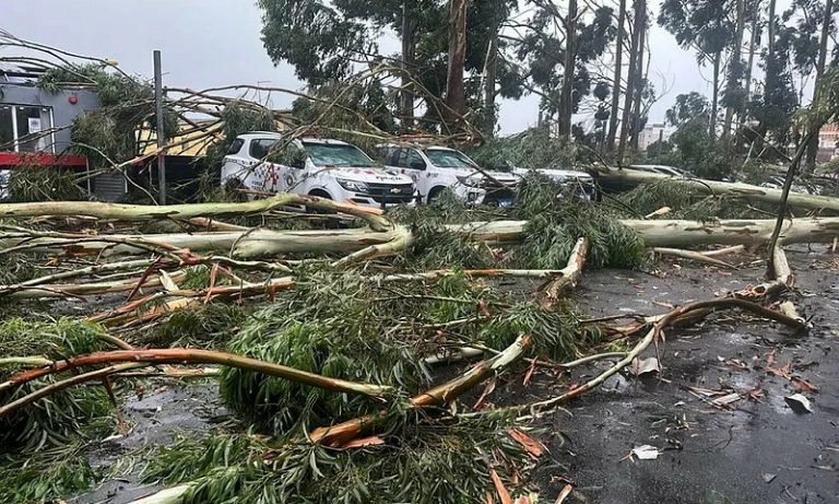 Prejuízos após temporal em Itaguaçu