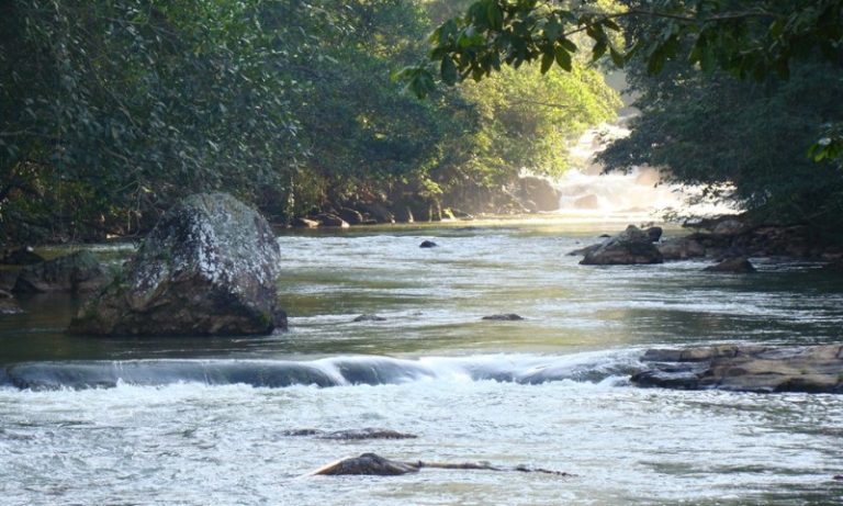 Rio que conta histórias do ES está quase “morto”