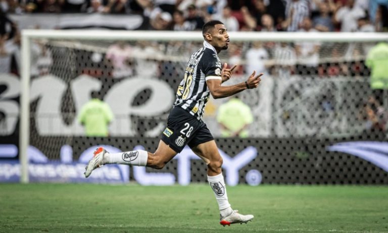 Santos vira sobre o Flamengo e se distancia da zona da degola
