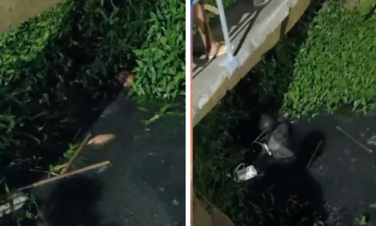 Suspeito de furto pula em valão para escapar de moradores em Cariacica