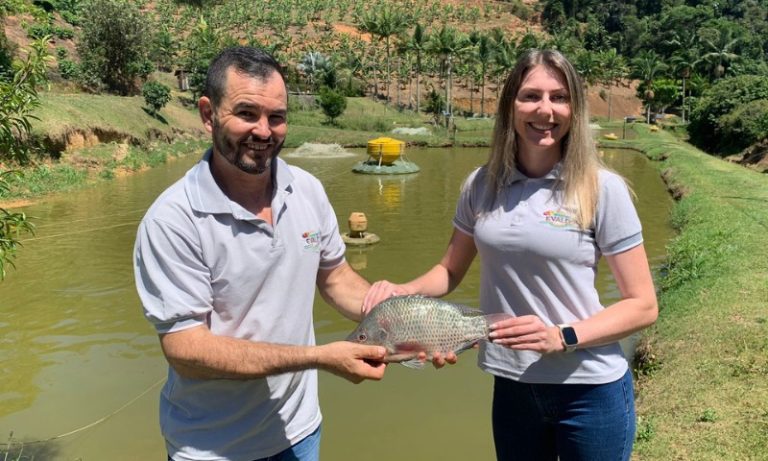 Tilápia capixaba é exportada para 14 países