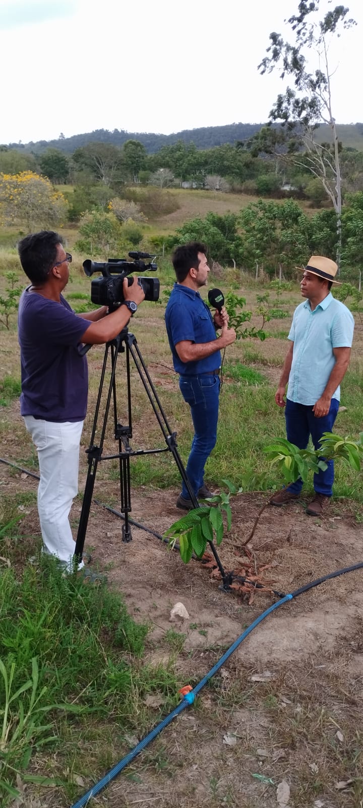 Veja os destaques do Programa Notícias do Campo deste domingo