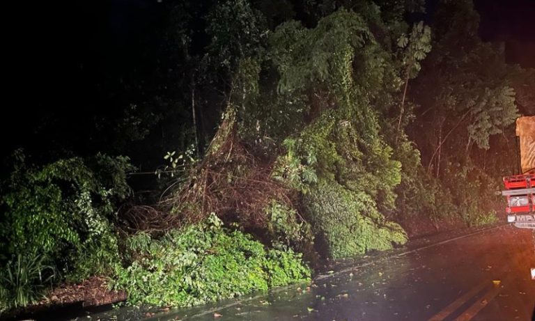 BR-262 tem trânsito intenso após chuva forte e queda de árvore