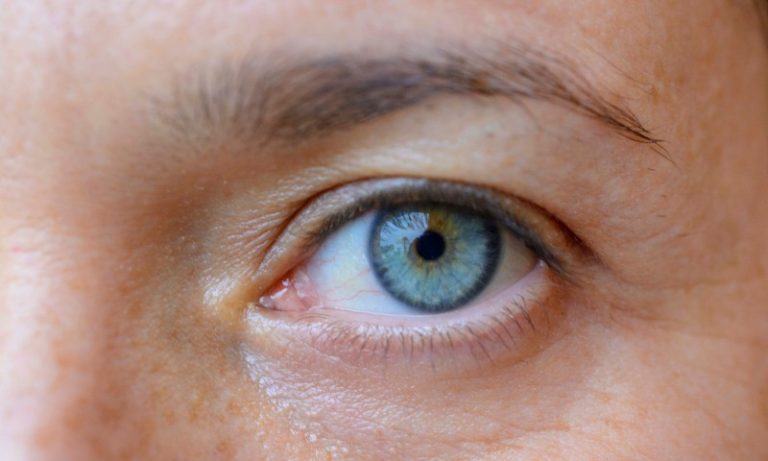 Estudo sugere diagnóstico de autismo a partir de imagens da retina com IA