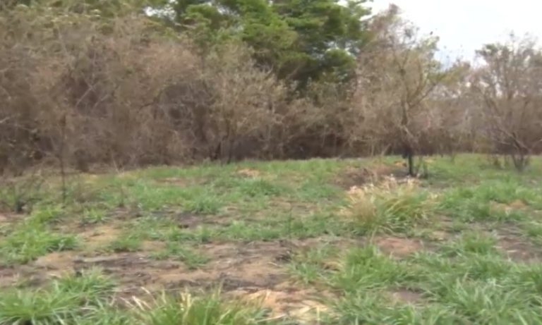 Jovem que estava desaparecido é encontrado morto em Cariacica