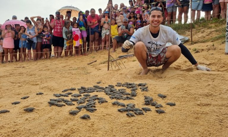 Espetáculo das tartarugas emociona turistas em Anchieta