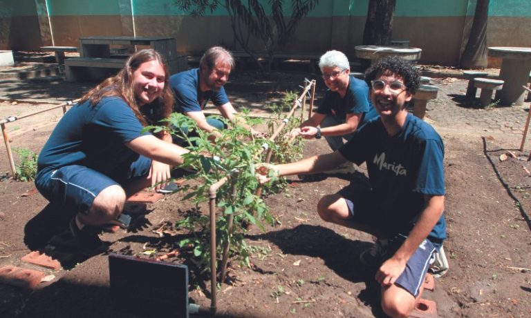 Estudantes desenvolvem projeto de irrigação para plantação de tomates